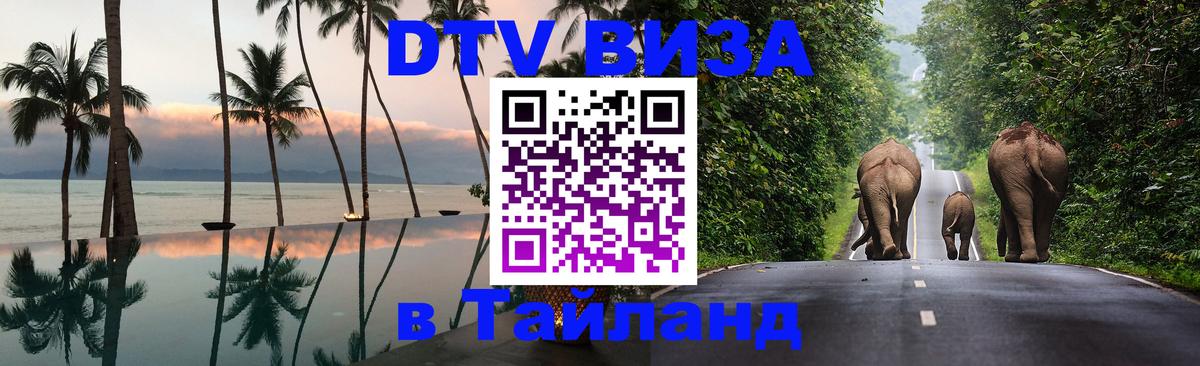 Сколько стоит DTV виза — актуальные цены, оформление даже без документов - 